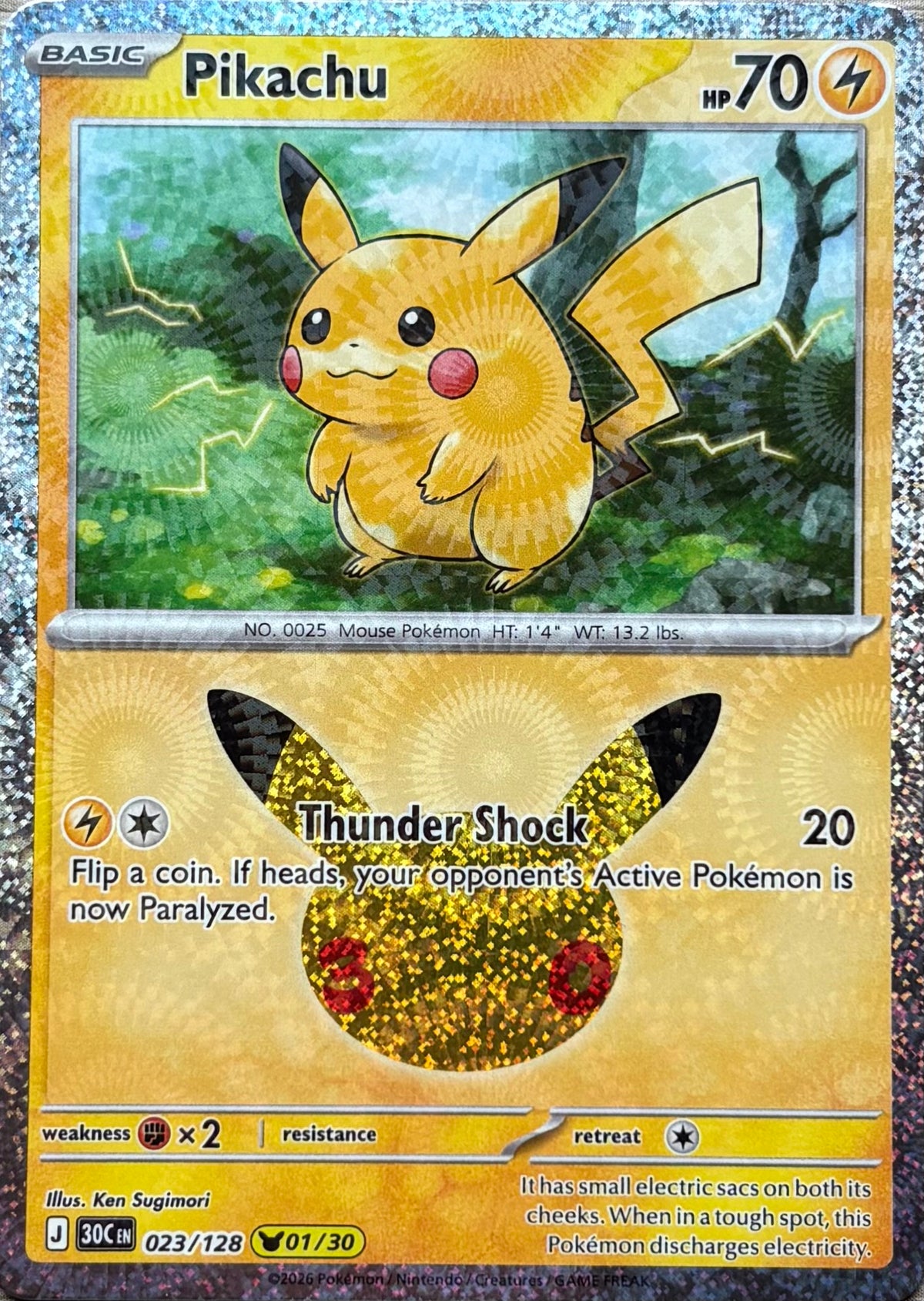 Pikachu #23