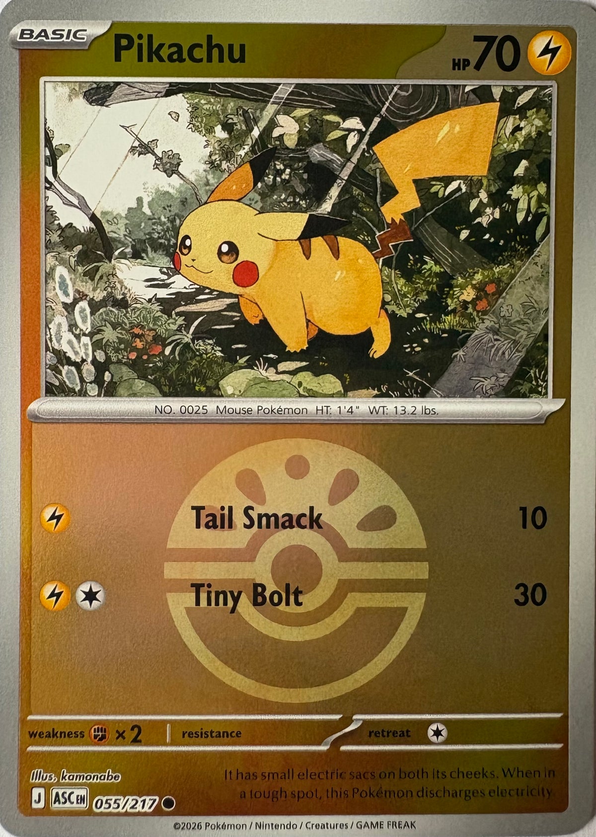 Pikachu #55
