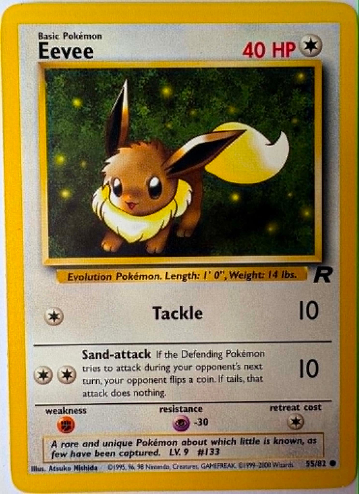 Eevee #55
